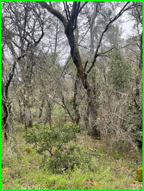 15652 Highland Avenue, Clearlake