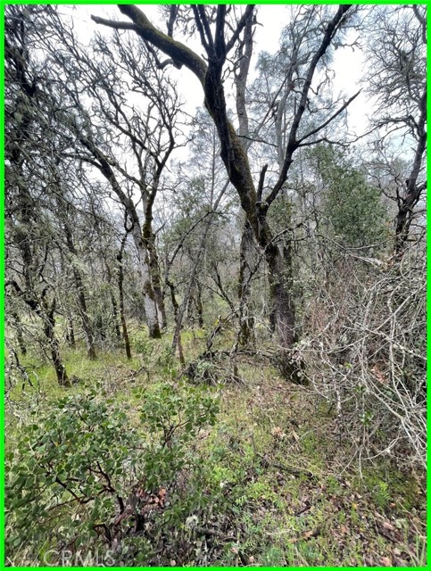 15652 Highland Avenue, Clearlake