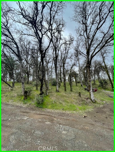 15365 Mason Street, Clearlake