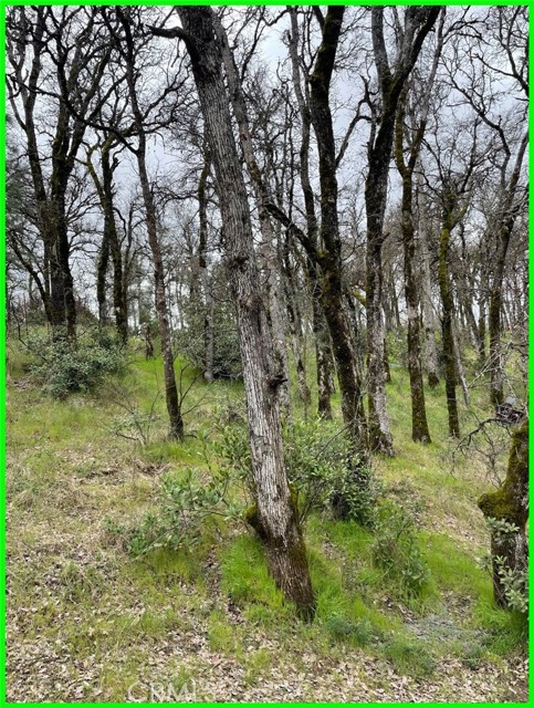 15365 Mason Street, Clearlake