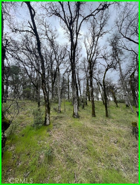 15365 Mason Street, Clearlake