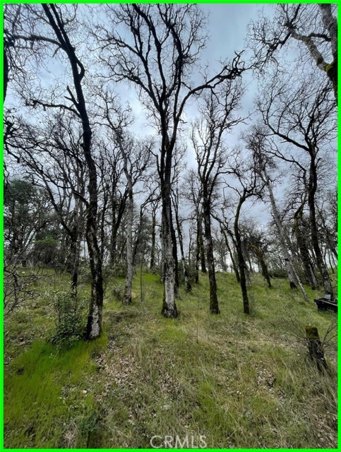 15365 Mason Street, Clearlake