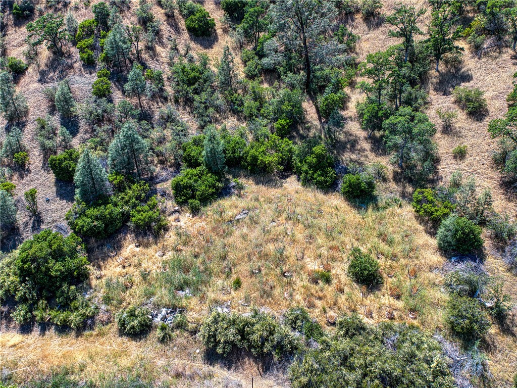 104 Mule Skinner, Clearlake Oaks