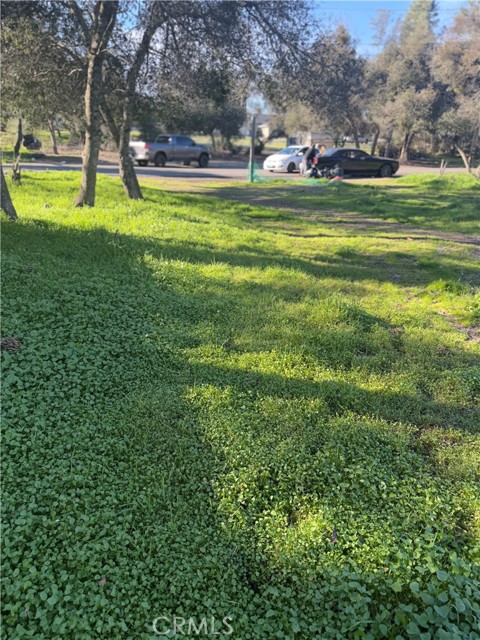 3626 Oleander, Clearlake