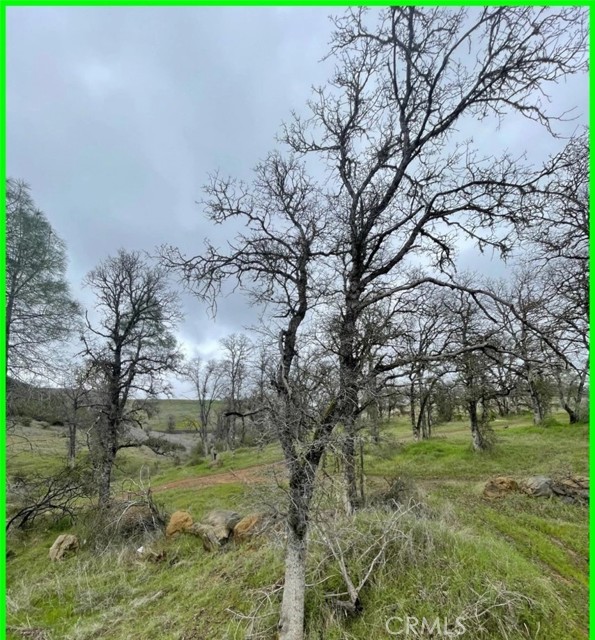 16409 Arroyo, Clearlake