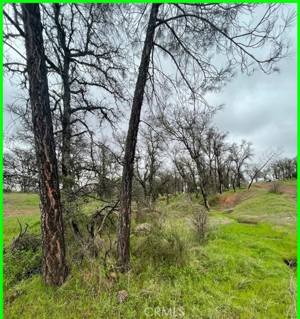 16409 Arroyo, Clearlake