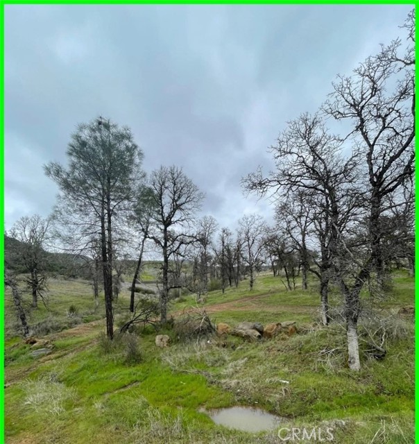 16409 Arroyo, Clearlake