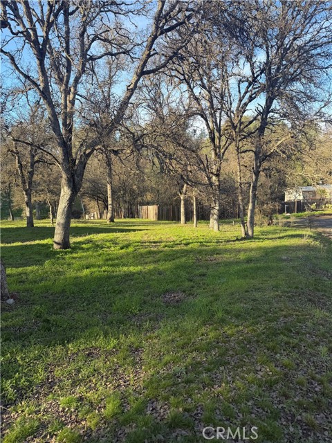 15545 Pine, Clearlake