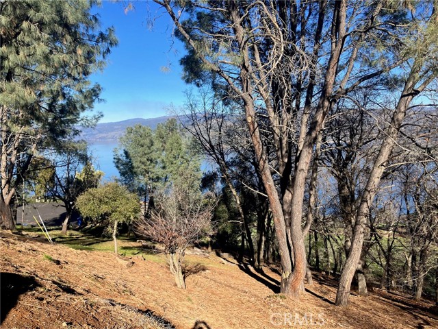 3050 Riviera Heights, Kelseyville