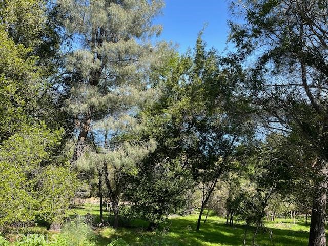 8444 Soda Bay Road, Kelseyville