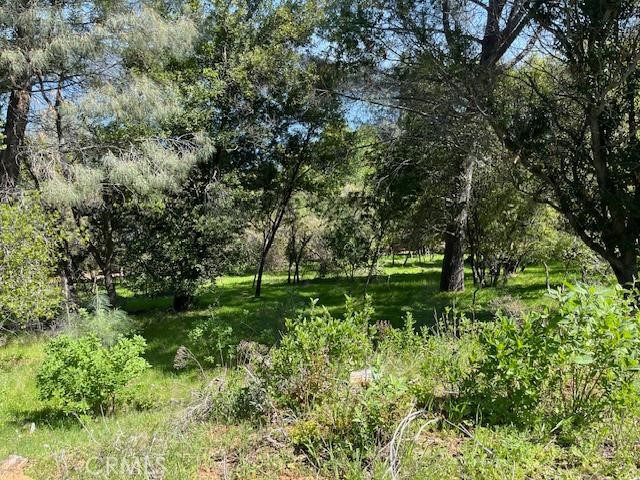 8444 Soda Bay Road, Kelseyville