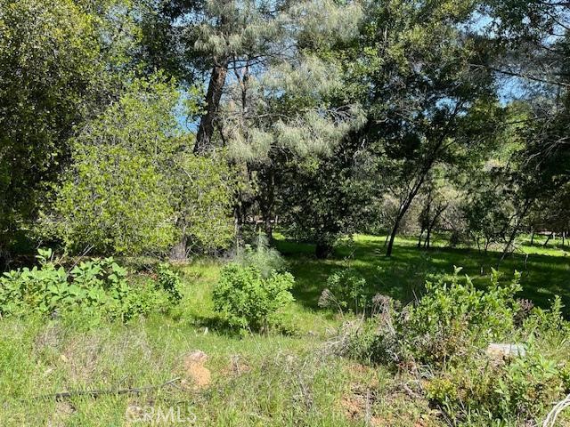 8444 Soda Bay Road, Kelseyville