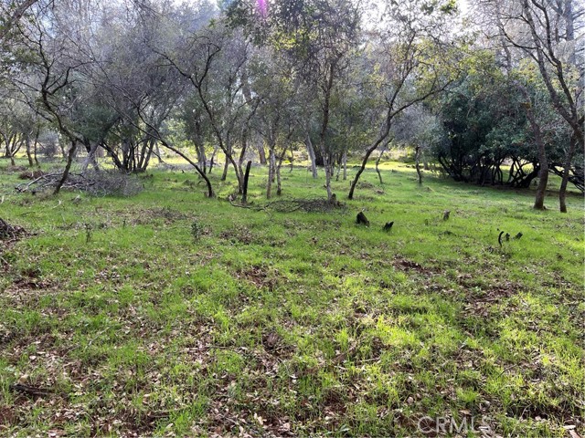 8444 Soda Bay Road, Kelseyville