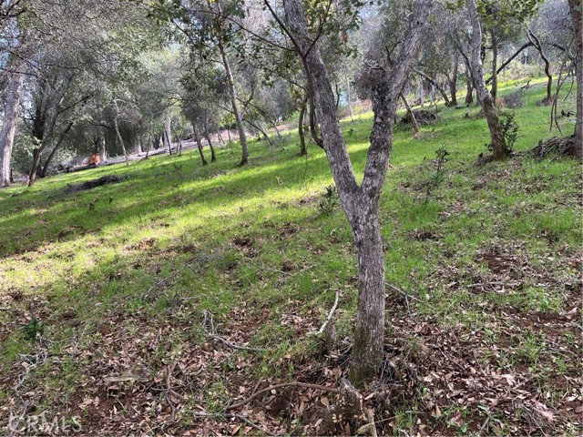 8444 Soda Bay Road, Kelseyville