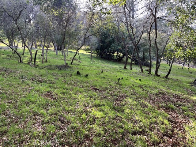 8444 Soda Bay Road, Kelseyville