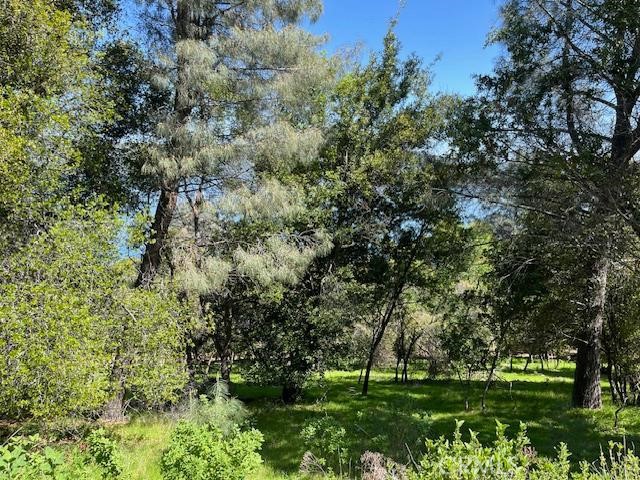 8444 Soda Bay Road, Kelseyville