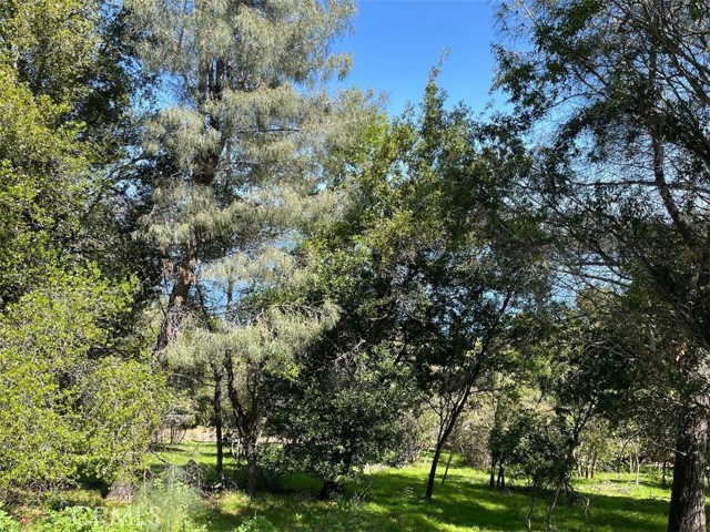 8452 Soda Bay Road, Kelseyville