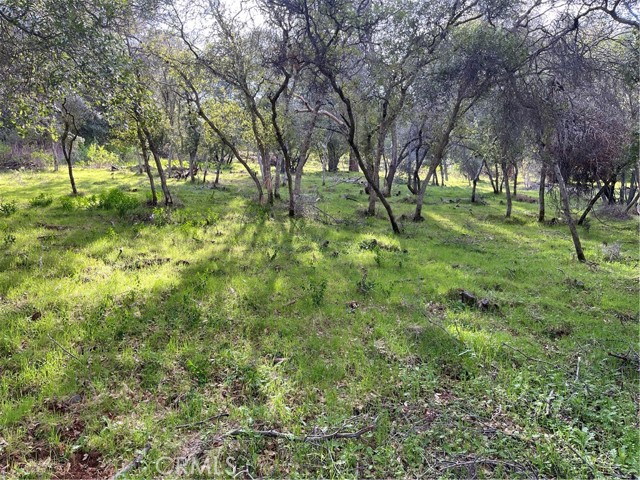 8452 Soda Bay Road, Kelseyville