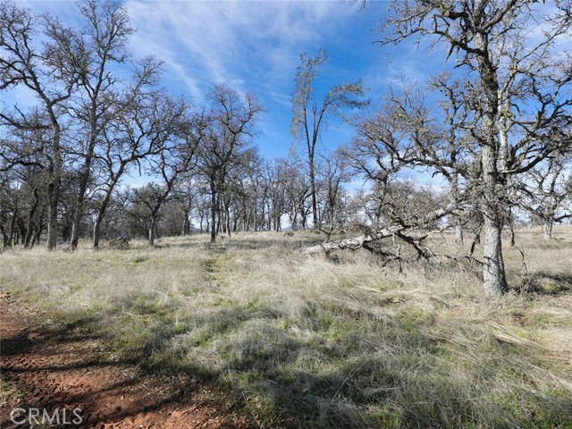 19755 Grange, Middletown