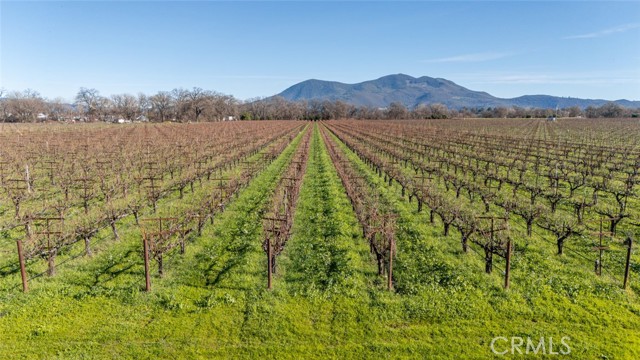 4450 Davis Drive, Lakeport