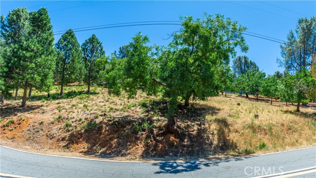 3126 Edgewood Drive, Kelseyville