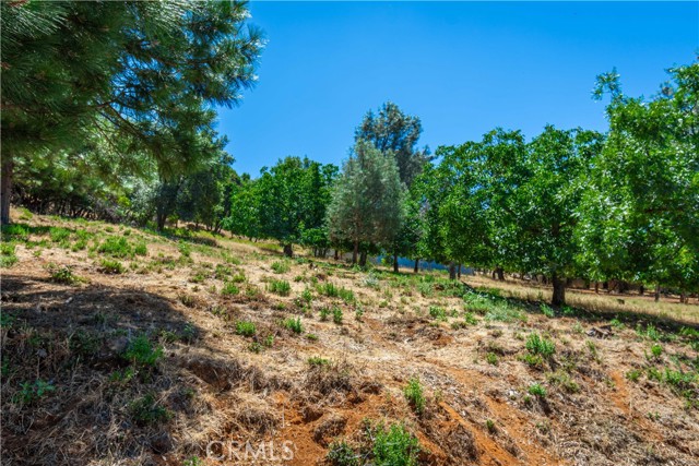 3126 Edgewood Drive, Kelseyville