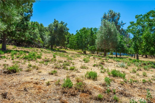 3126 Edgewood Drive, Kelseyville