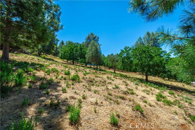 3126 Edgewood Drive, Kelseyville