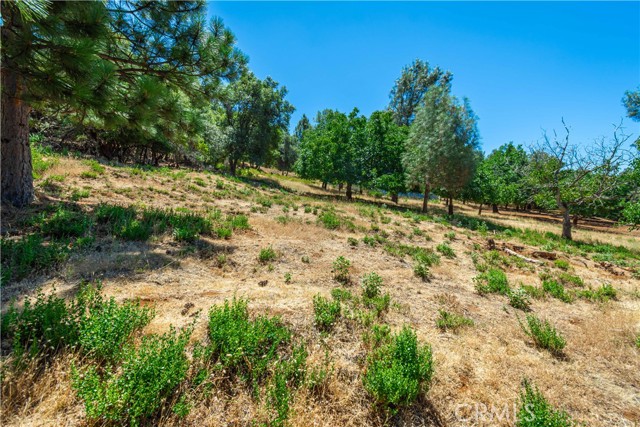3126 Edgewood Drive, Kelseyville