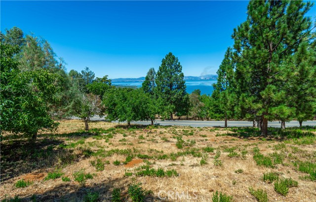 3126 Edgewood Drive, Kelseyville