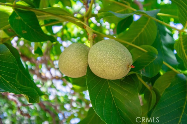 3126 Edgewood Drive, Kelseyville