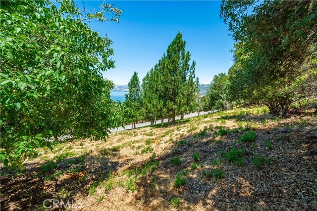 3126 Edgewood Drive, Kelseyville
