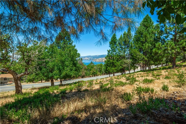3126 Edgewood Drive, Kelseyville