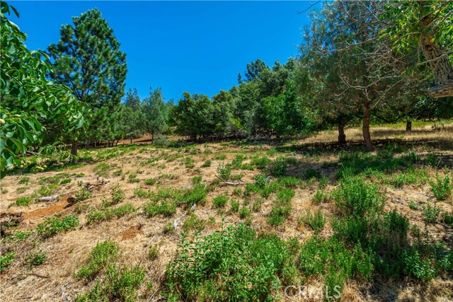 3126 Edgewood Drive, Kelseyville