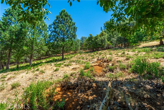 3126 Edgewood Drive, Kelseyville