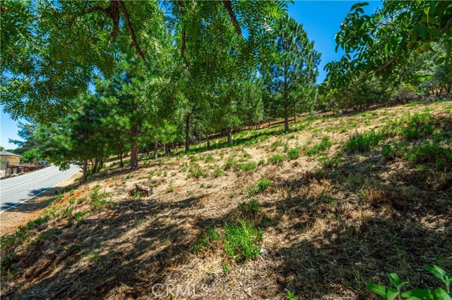 3126 Edgewood Drive, Kelseyville