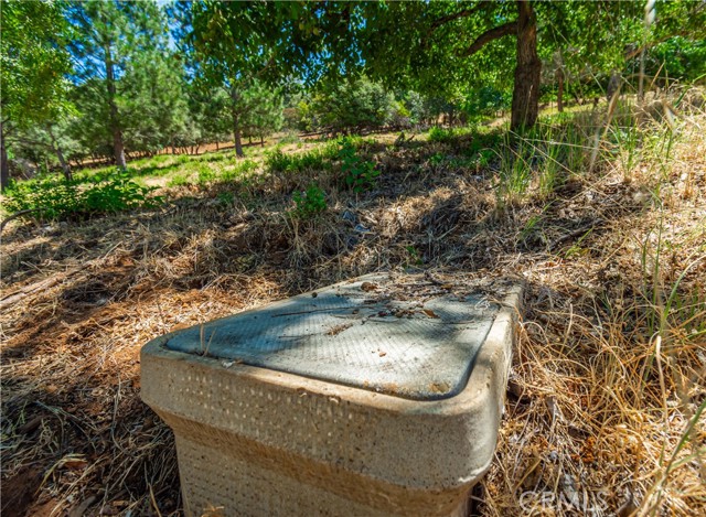 3126 Edgewood Drive, Kelseyville