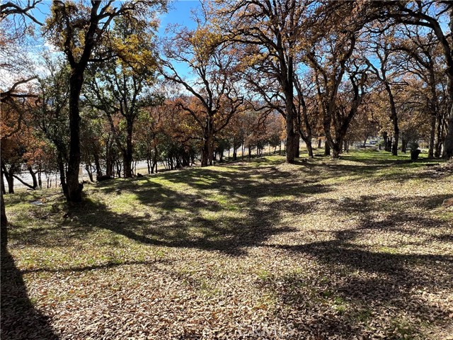 6060 Old Highway 53, Clearlake