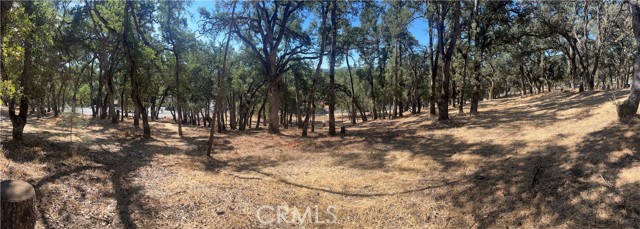 6060 Old Highway 53, Clearlake