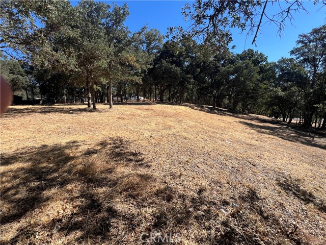 6060 Old Highway 53, Clearlake