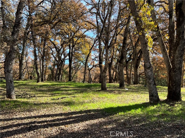 6060 Old Highway 53, Clearlake