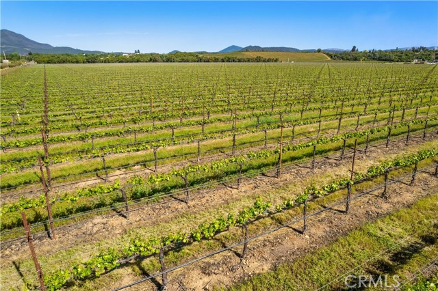 1650 Bell Hill Road, Kelseyville