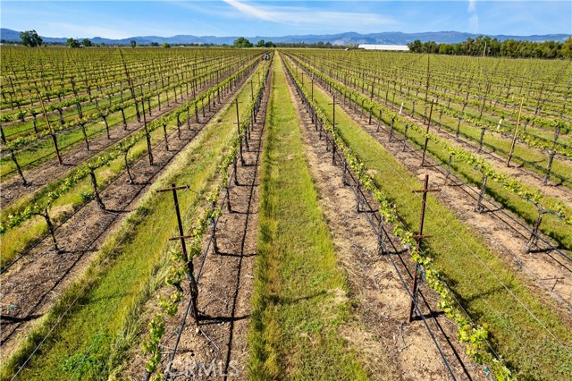 1650 Bell Hill Road, Kelseyville