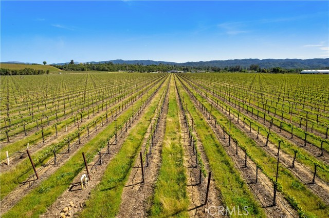 1650 Bell Hill Road, Kelseyville