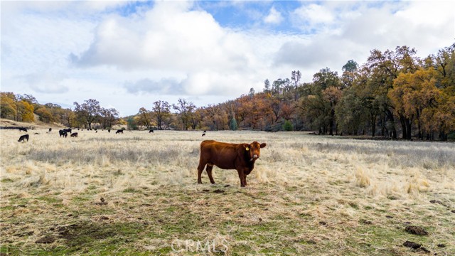 11158 Rocky Creek Road, Lower Lake