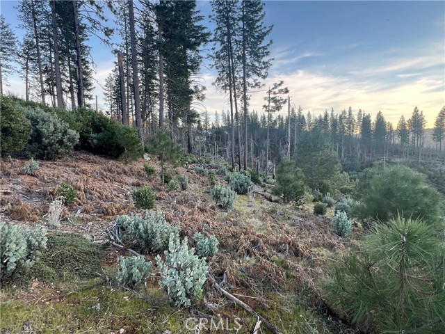 16790 Starview Loop Rd, Cobb