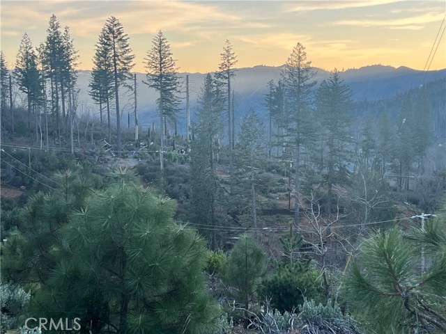 16790 Starview Loop Rd, Cobb