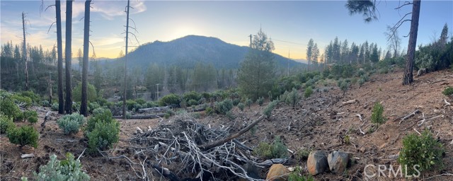 16790 Starview Loop Rd, Cobb