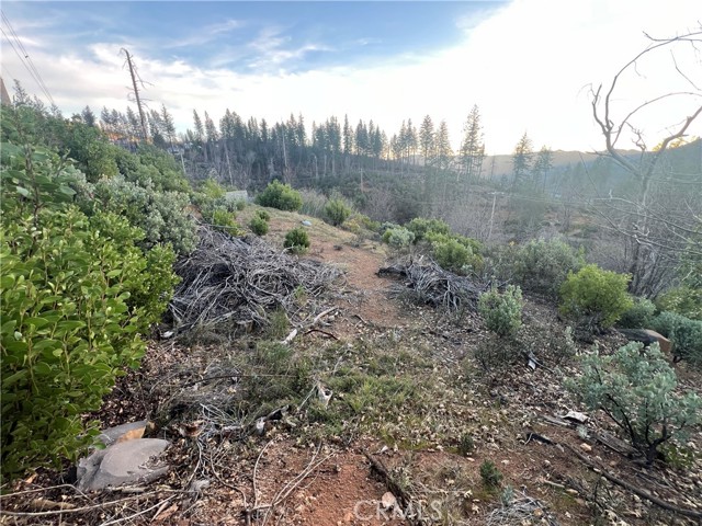 16790 Starview Loop Rd, Cobb