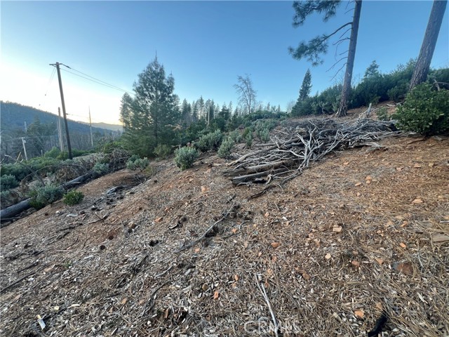 16790 Starview Loop Rd, Cobb